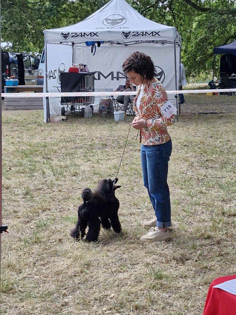 Vegas Des babys d'emporda